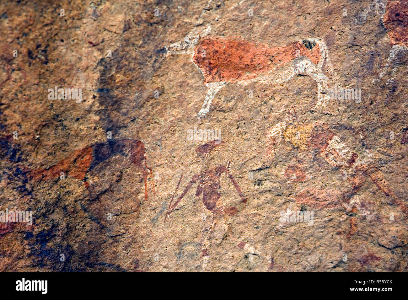 Arte rupestre petroglifi Brandberg in montagna del massiccio in Damaraland Namibia Foto Stock