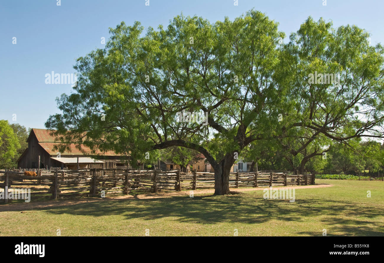 Texas Hill Country Stonewall Lyndon B Johnson stato parco storico sito Sauer Beckmann Cascina museo vivente di storia Foto Stock