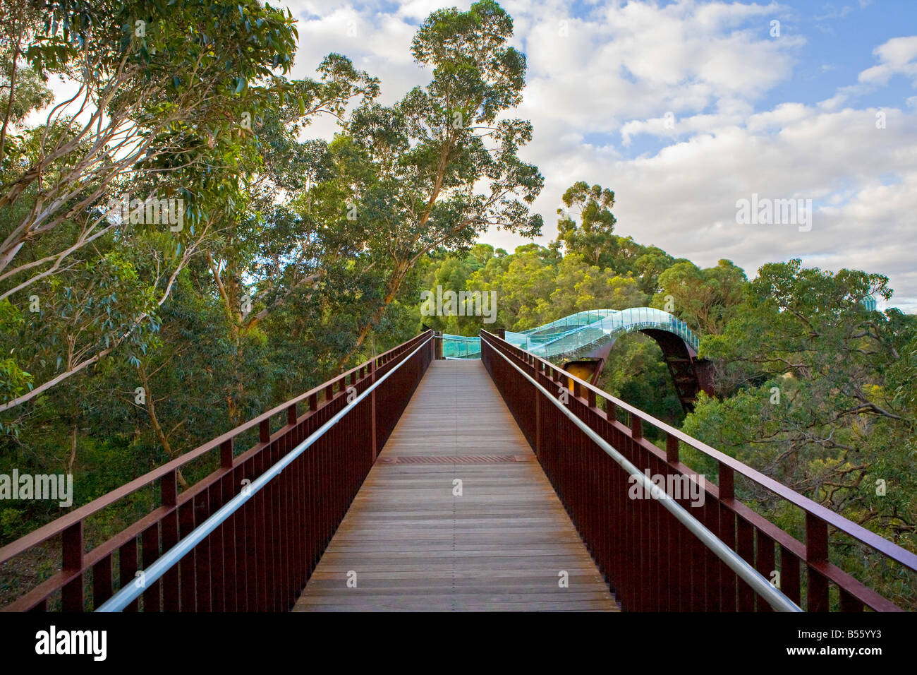 Australia, Australia occidentale, Perth, Kings Park. Foto Stock