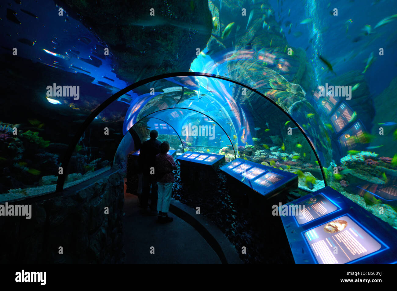 Sealife Centre, Olympiapark, Monaco, Monaco di Baviera, Germania Foto Stock