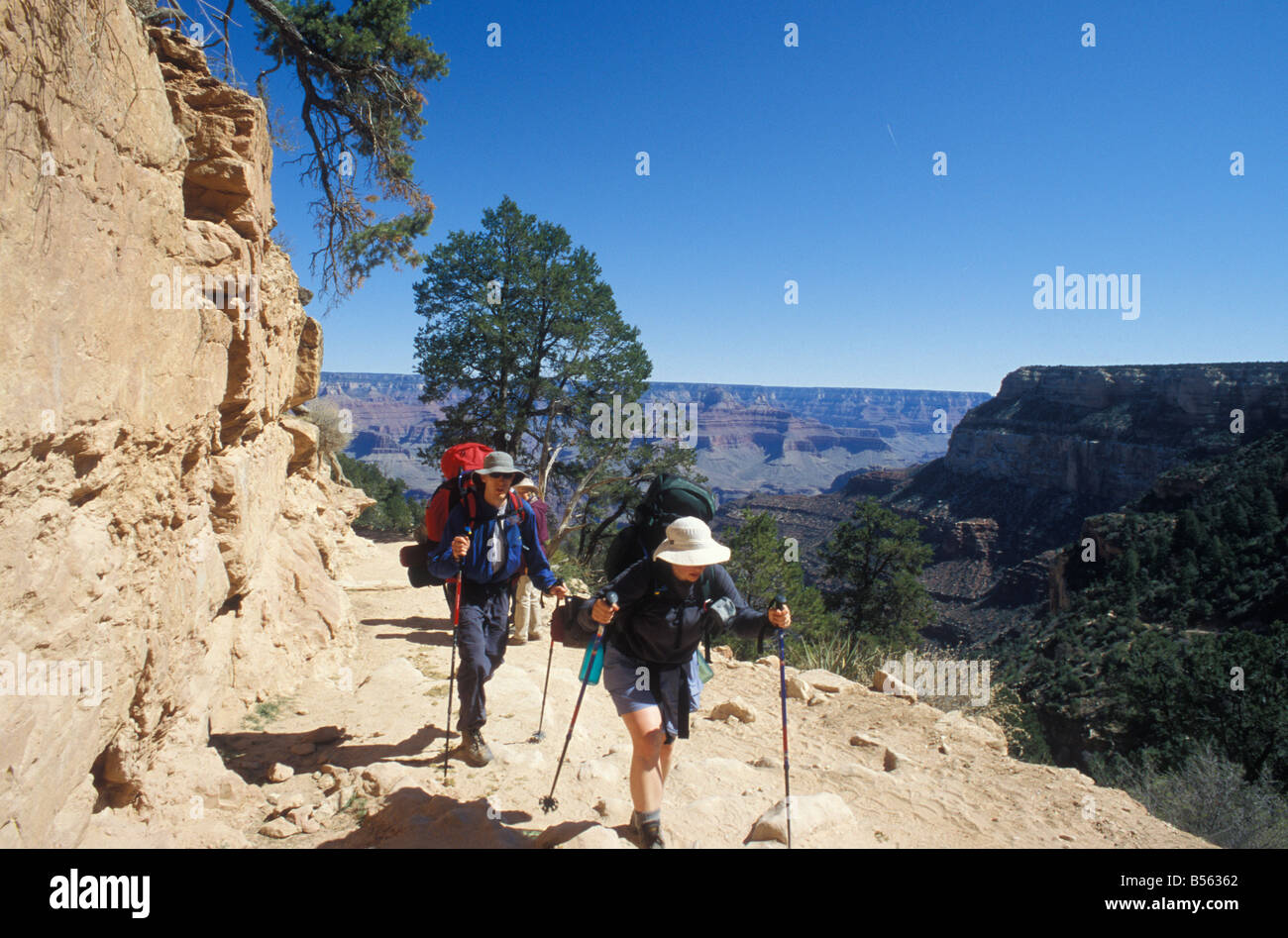 Escursioni nel Parco Nazionale del Grand Canyon South Rim Bright Angel Trail Arizona USA Foto Stock