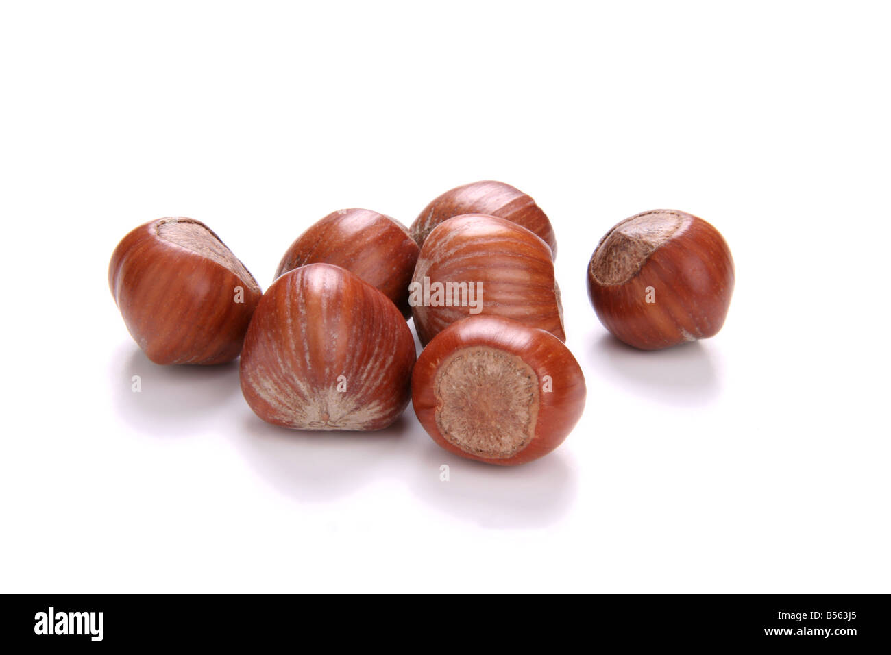 Le nocciole cut-out Foto Stock
