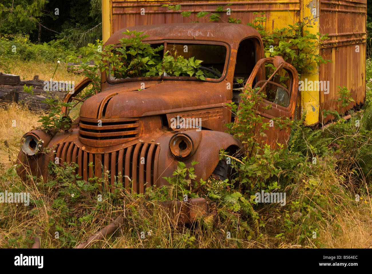 Abbandonato il vecchio camion in una storica homestead Kestner Parco nazionale di Olympic Washington Foto Stock