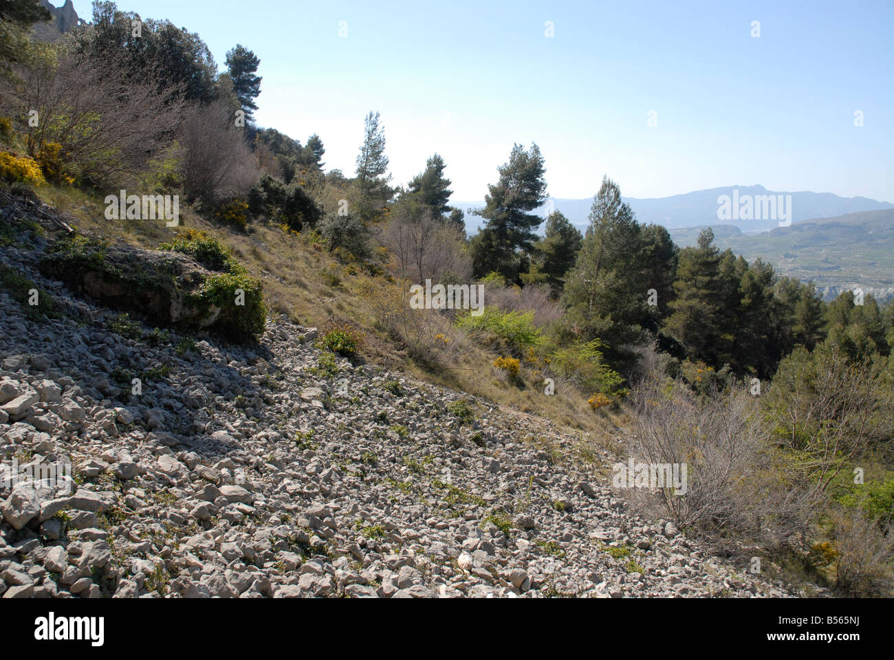 Ghiaione vicino a Els Frares pinnacoli di roccia, Sierra de Serrella, Comtat, Provincia di Alicante, Comunidad Valenciana, Spagna Foto Stock