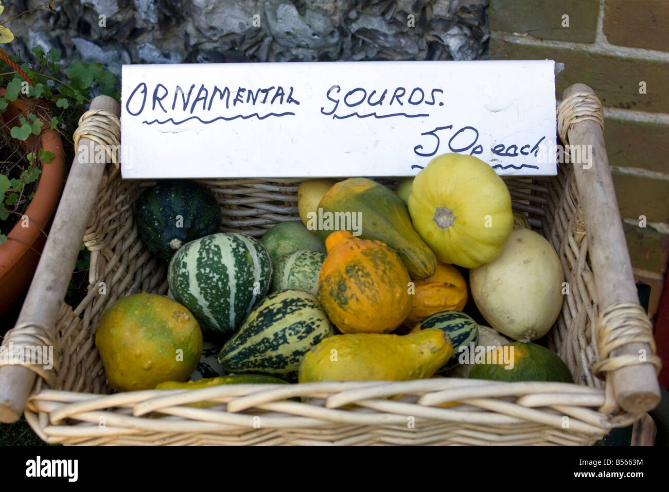 Un fantastico display di zucche Foto Stock