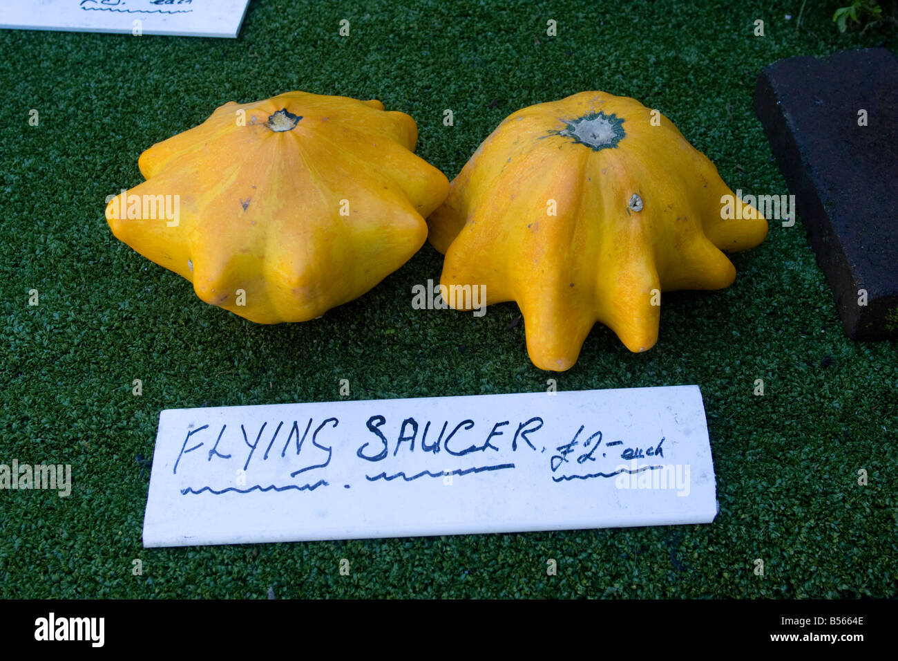 Un fantastico display di zucche Foto Stock