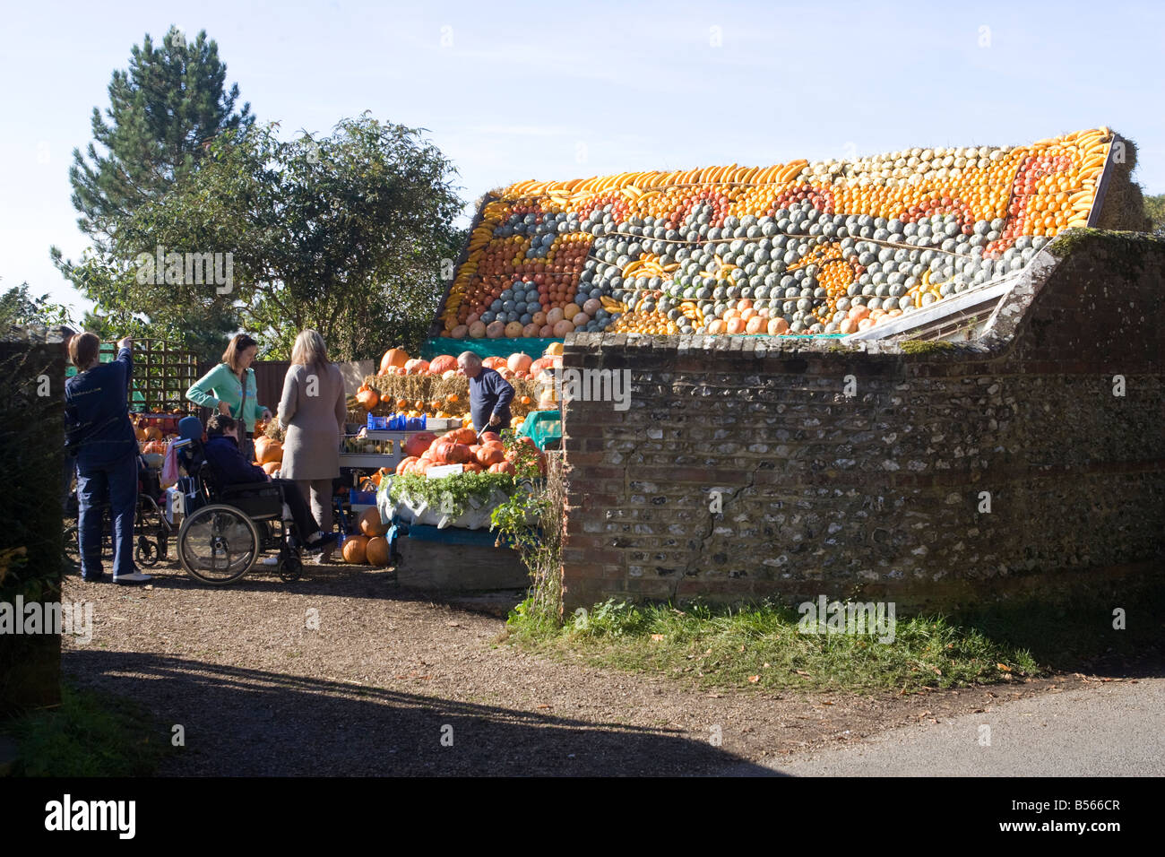 Un fantastico display di zucche Foto Stock