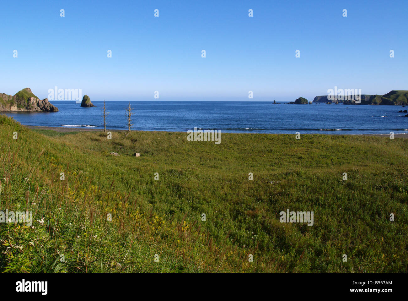 Baia di Oceanic Foto Stock