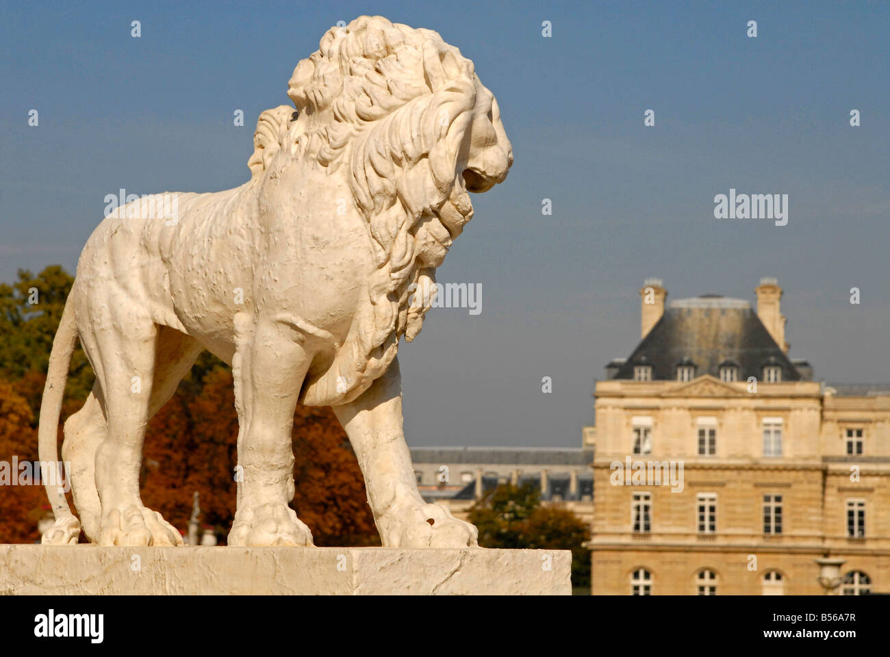 Statua di un leone al Jardin du Luxembourg Giardini di Lussemburgo in Parigi Francia Foto Stock