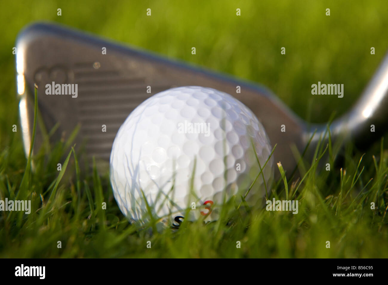 Una pallina da golf su erba. Una testa di ferro è visto dietro la sfera. Foto Stock