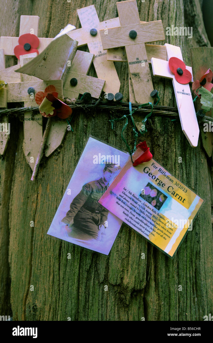 Rimembranza croci, un omaggio e una fotografia di un primo Wolrd War soldier attaccato a un albero a collina 62, vicino a Ypres, Belgio Foto Stock