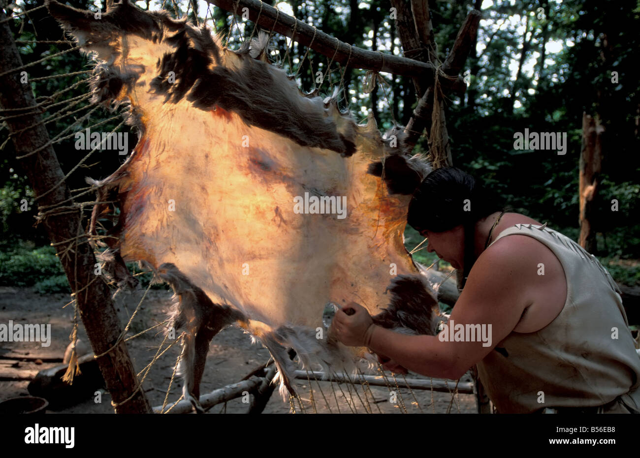 Jamestown Settlement Virginia animale infilate nascondi dal rack in legno Powhatan villaggio indiano Foto Stock