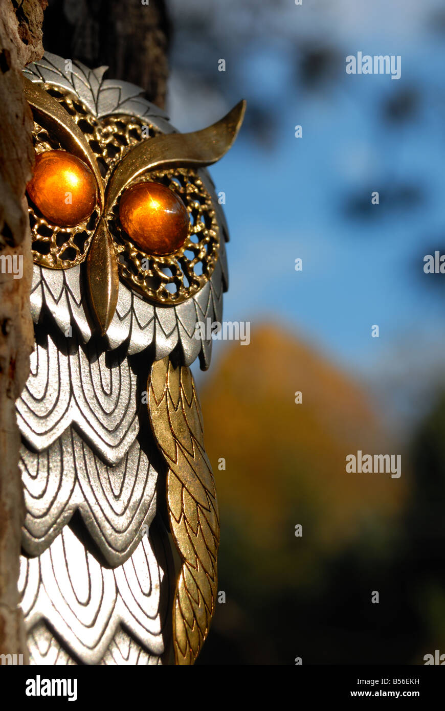 Questo owl con enorme di colore ambra occhi è davvero un pezzo del costume jewelery Foto Stock