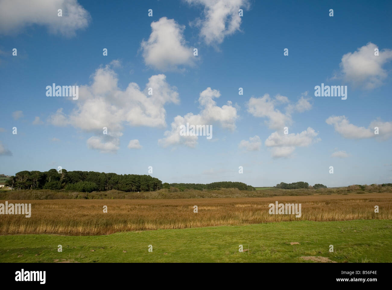 Marazion Marsh RSPB Cornwall Inghilterra Foto Stock