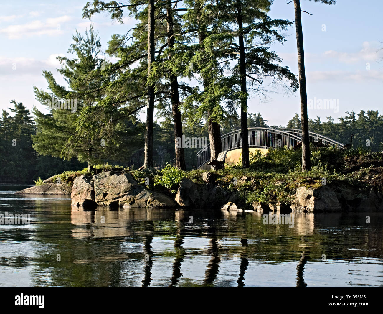 Un ponte pedonale dietro le torreggianti alberi di pino su una proprietà privata isola in mille isola sul fiume San Lorenzo. Foto Stock