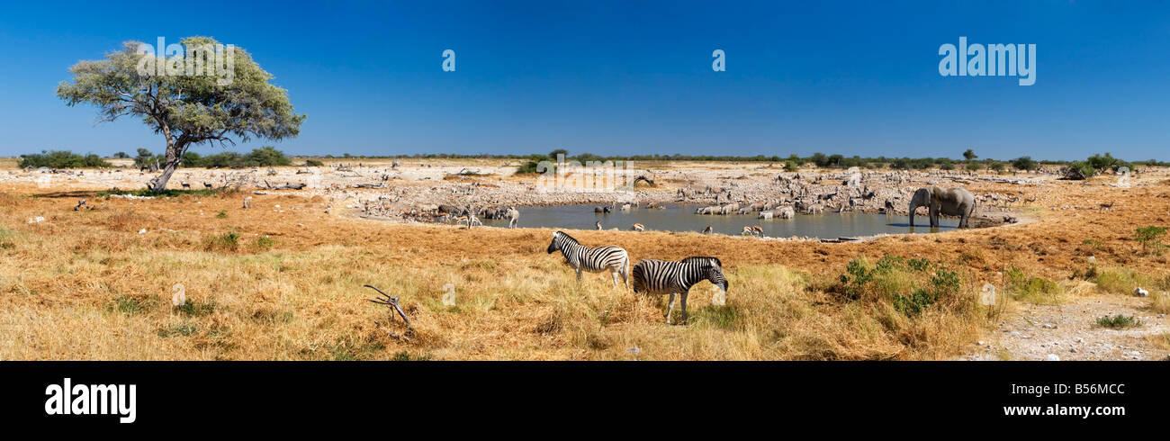 Okaukuejo Waterhole in Etosha National Park, Namibia Foto Stock