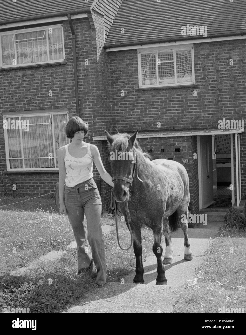 Sam il pet pony a piedi attraverso la sua abitazione dei proprietari per ottenere attraverso il suo lussuoso stabile alla fine del giardino in Woodingdean, Brighton;Maggio 1977;77-3036-019 Foto Stock