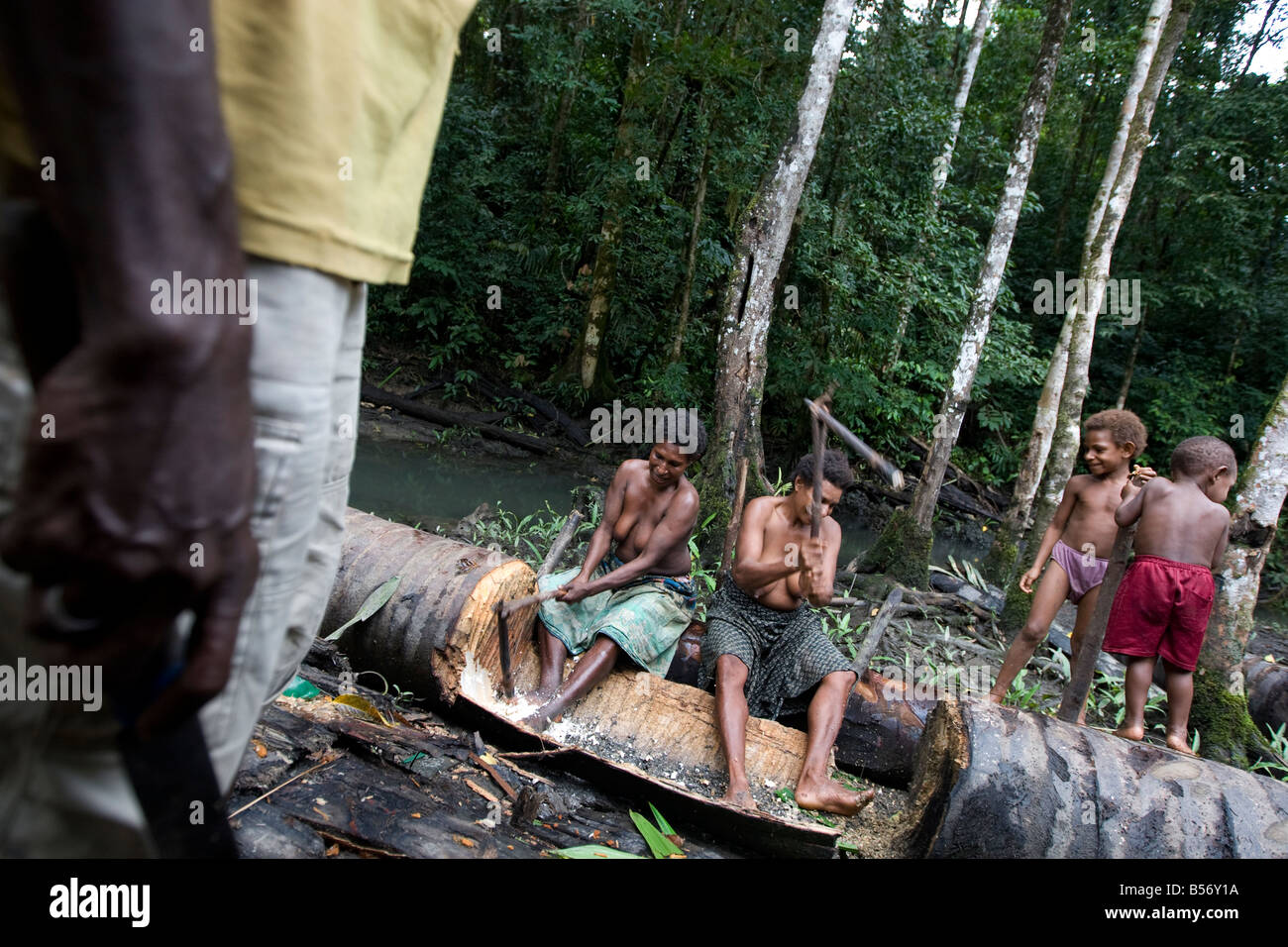 Le donne il taglio di sago palm di foreste pluviali vicino villaggio Omati, provincia del Golfo, in Papua Nuova Guinea. Foto Stock