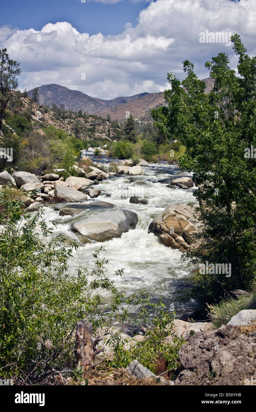 Il fiume Colorado in USA colpo verticale Foto Stock