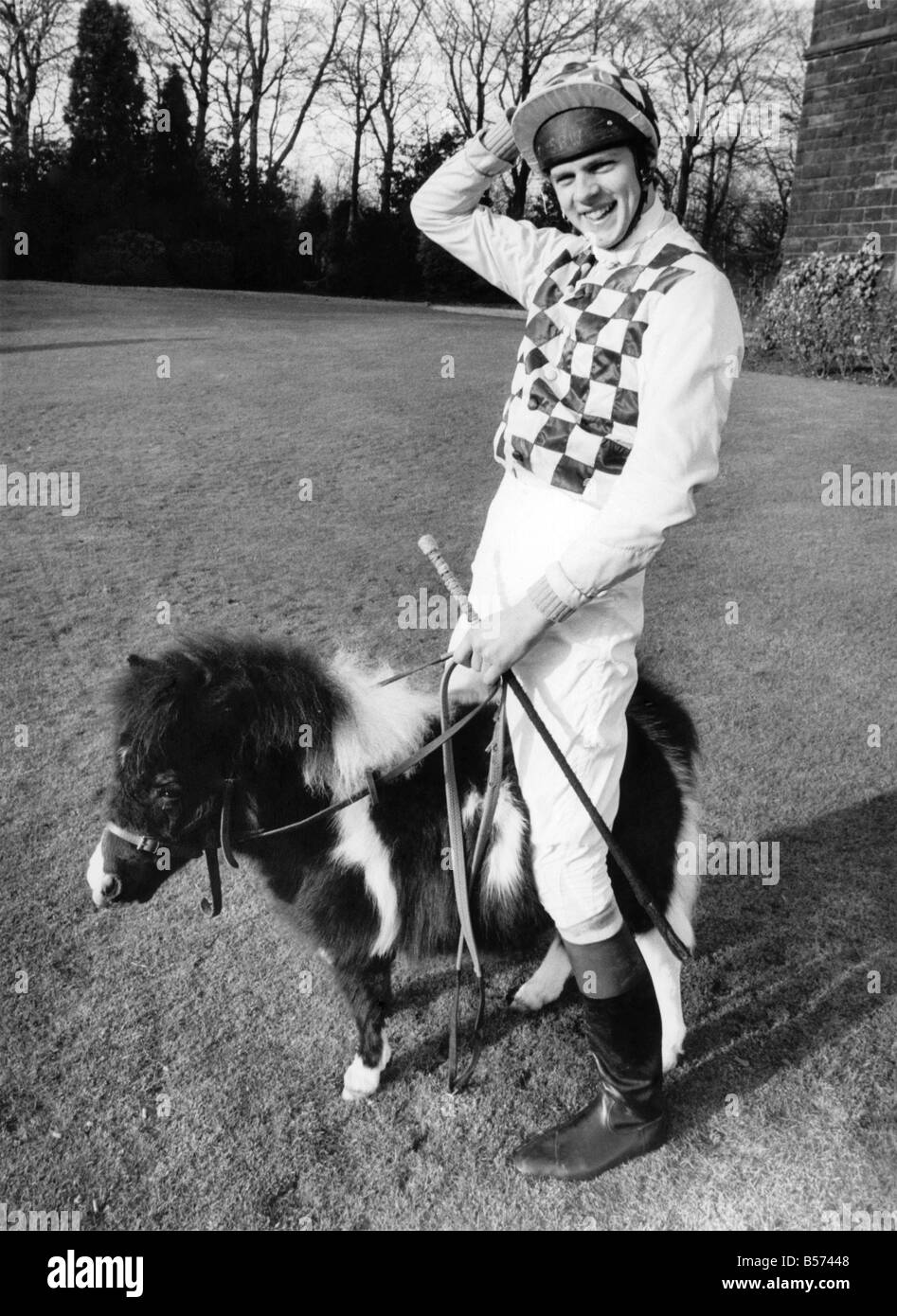 cavalli shetland - 8 Il più piccolo cavallo Foto e Immagini Stock in Bianco e Nero - Alamy