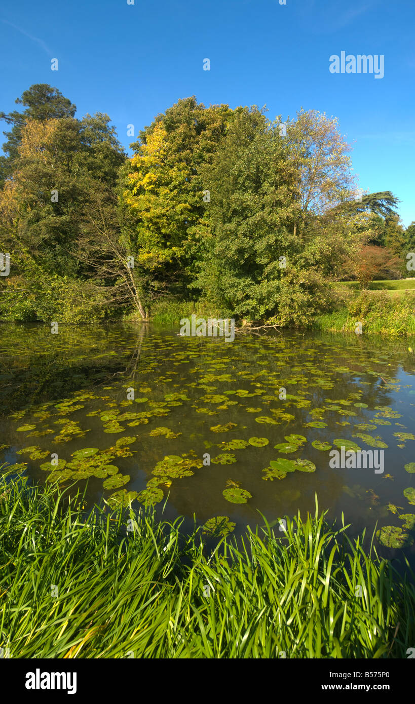 Abbazia di Waverley Surrey UK Foto Stock