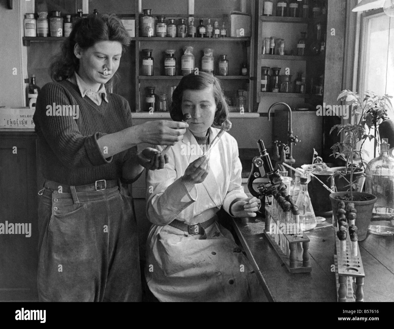 Le ragazze di terra di lavoro di ricerca. Aprile 1942 P003952 Foto Stock
