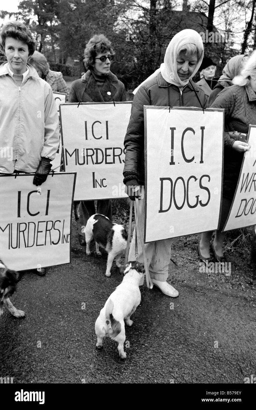 I manifestanti contro l' uso di brachetti da ICI in esperimenti di fumare a Burnham Beeches. Febbraio 1975 75-00853-005 Foto Stock