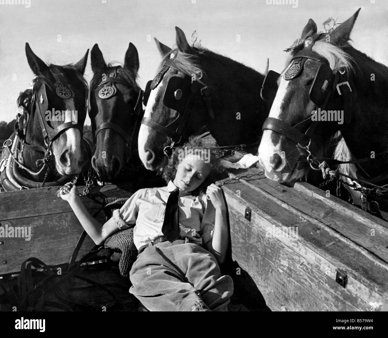 Un membro della donna esercito di terra un sonno nel retro di un carro da fieno mentre i cavalli a guardare. Ottobre 1948 P004855 Foto Stock