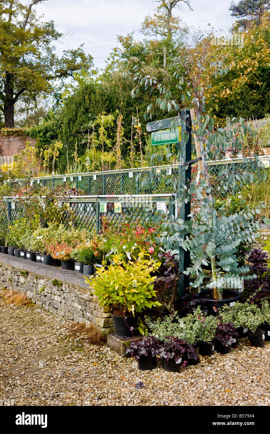 Batsford arboretum Centro giardino Foto Stock