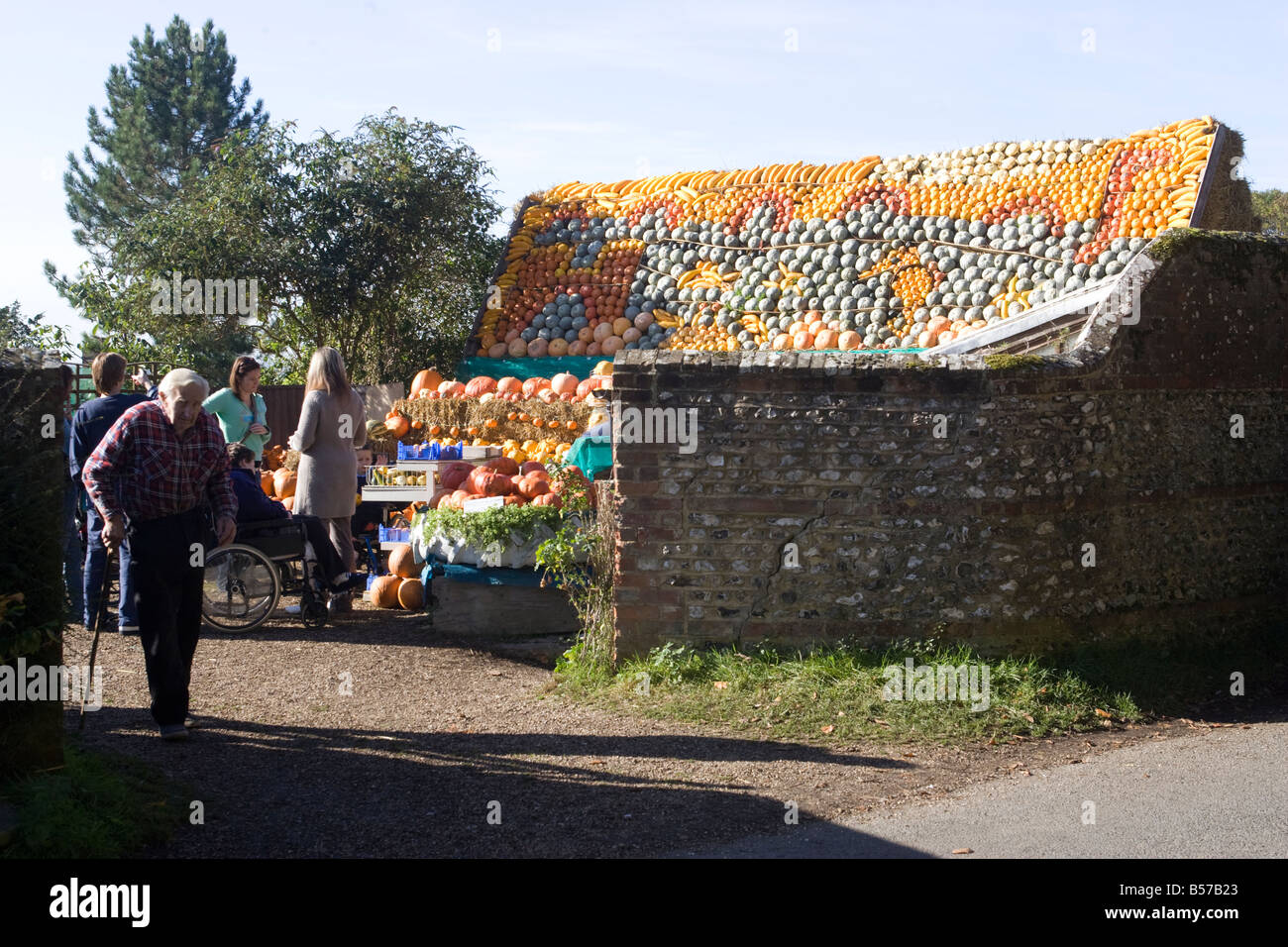 Un fantastico display di zucche Foto Stock