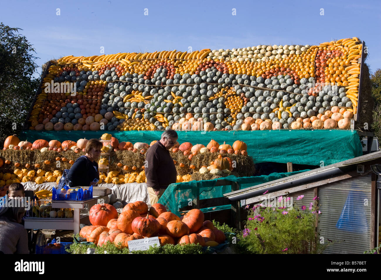 Un fantastico display di zucche Foto Stock