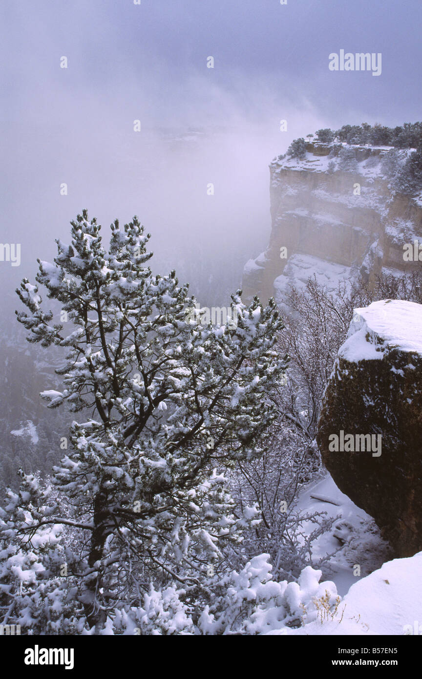 Tempesta di neve sul Grand Canyon, Arizona Foto Stock