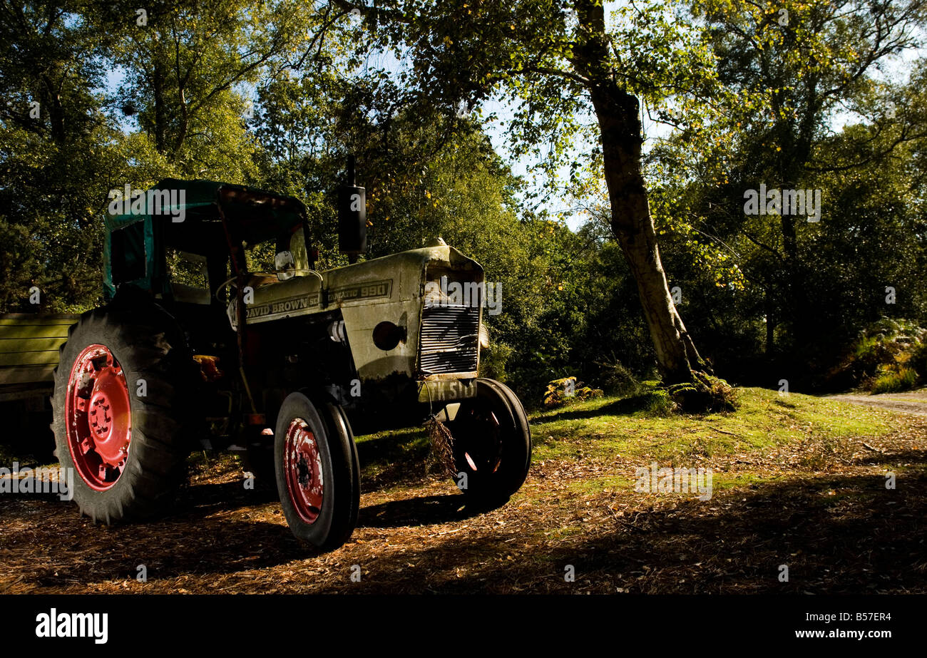 Un vecchio David Brown seltamatic 990 trattore Foto Stock