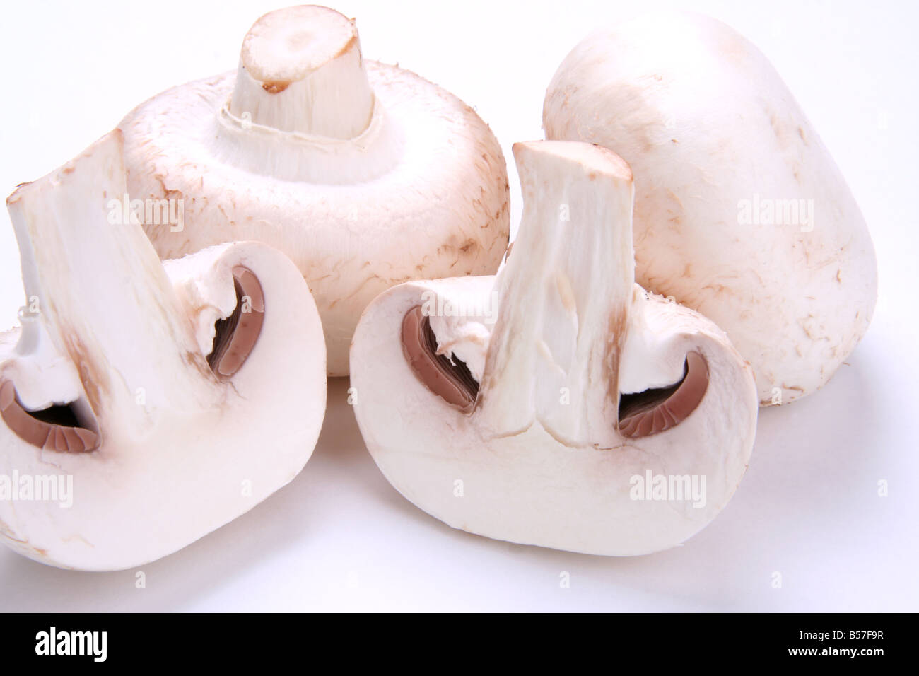 Funghi tagliati-out Foto Stock