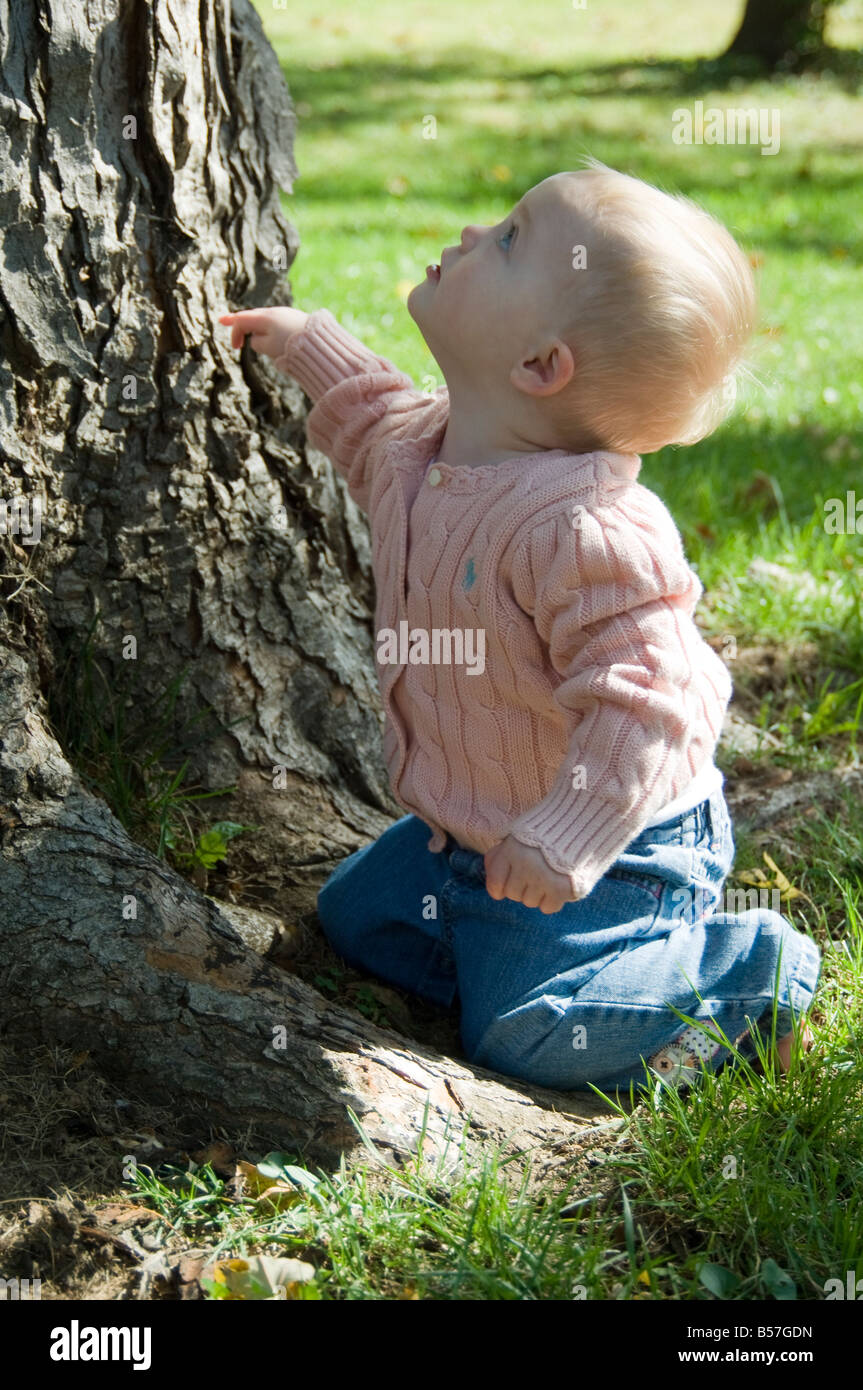 'Little baby, grande albero.' bimbo seduto alla base della struttura, guardando l'albero in soggezione. Foto Stock