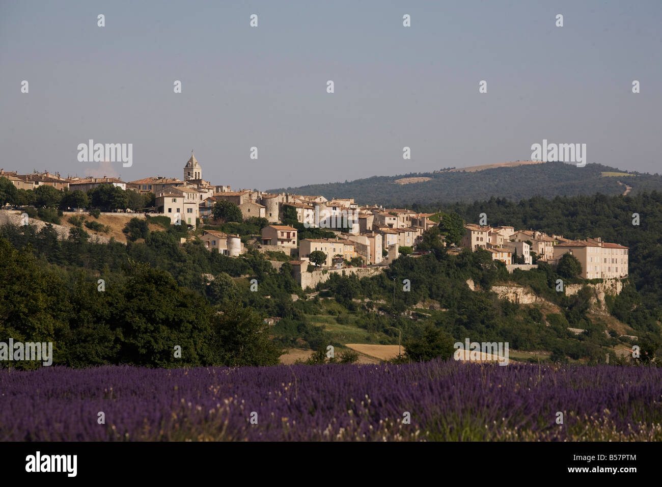 Sault en Provence, Vaucluse Provence, Francia Foto Stock