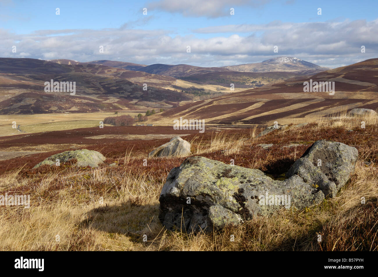 La brughiera del Cairngorm National Park, tra Crathie e Gairnshiel, Aberdeenshire, Scotland, Regno Unito, Europa Foto Stock