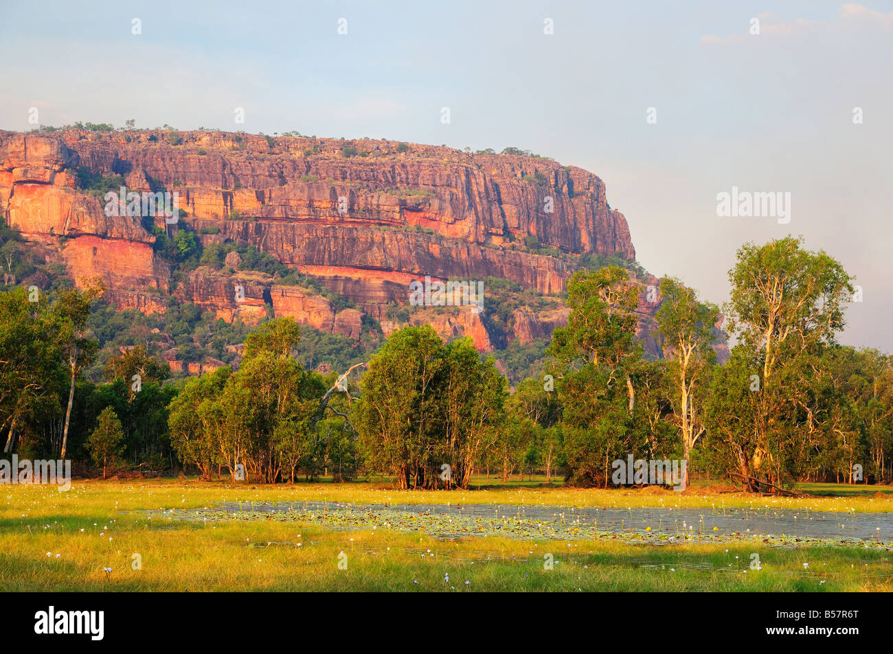 Nourlangie Rock e Anbangbang Billabong, Parco Nazionale Kakadu, Sito Patrimonio Mondiale dell'UNESCO, il Territorio del Nord, l'Australia Foto Stock