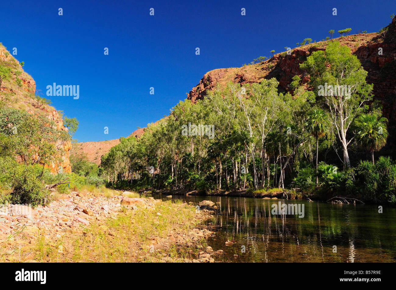 Moonshine Gorge e Pentecoste River, Kimberley, Australia occidentale, Australia Pacific Foto Stock