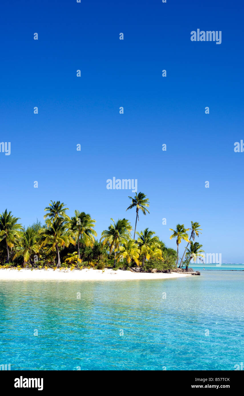 Sulle spiagge contornate di palme, Isole Cook, South Pacific Pacific Foto Stock