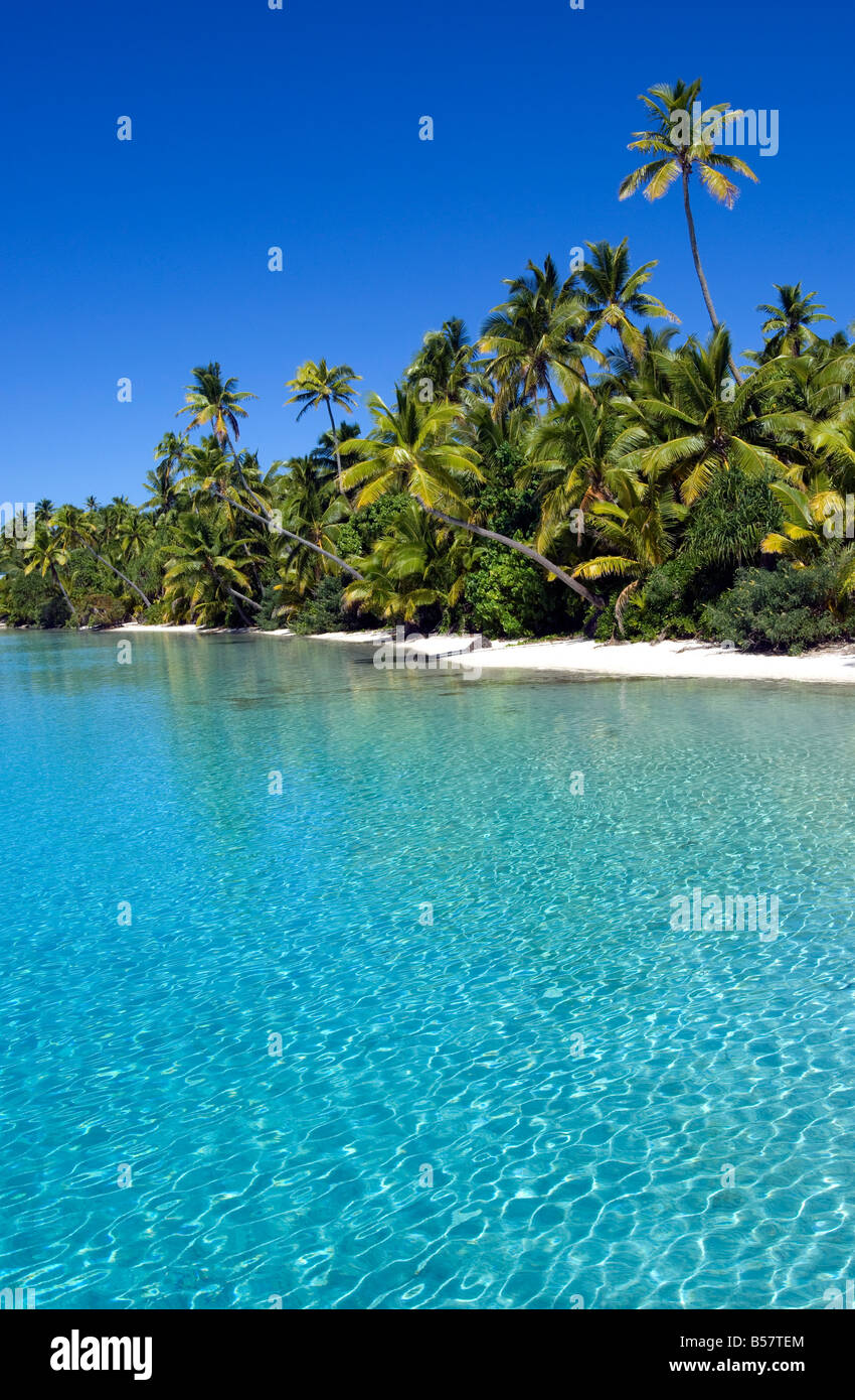 Sulle spiagge contornate di palme, Isole Cook, South Pacific Pacific Foto Stock