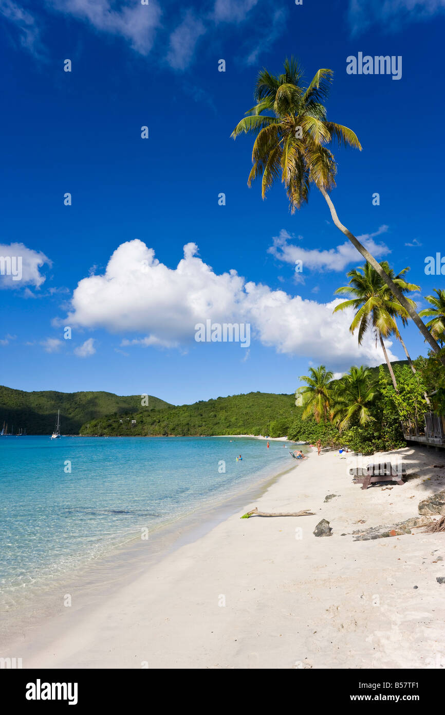 Cinnamon Bay beach e palme, San Giovanni, U.S. Isole Vergini, West Indies, dei Caraibi e America centrale Foto Stock