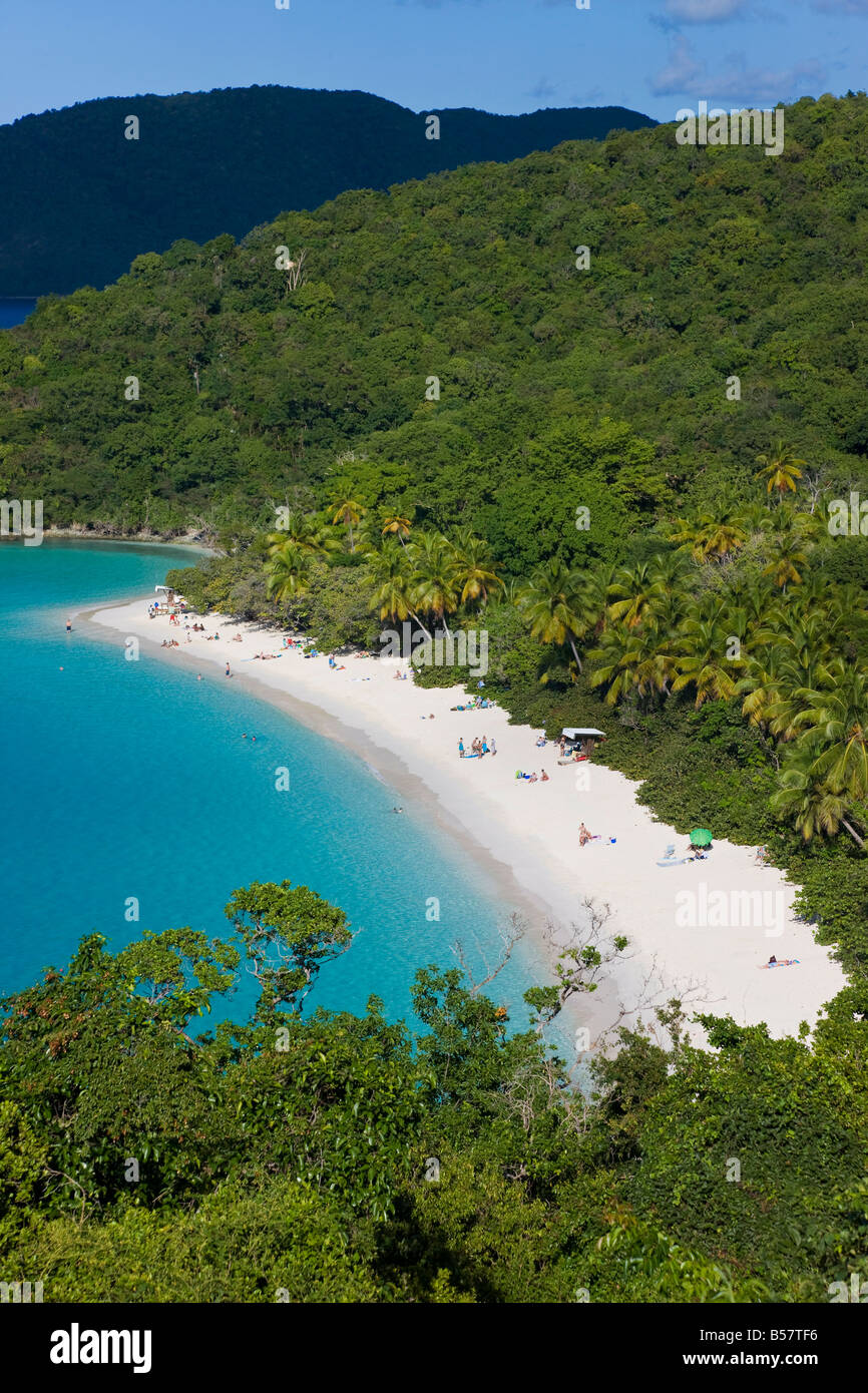 Vista in elevazione sopra la spiaggia famosa in tutto il mondo a Trunk Bay, San Giovanni, U.S. Isole Vergini, West Indies, dei Caraibi e America centrale Foto Stock