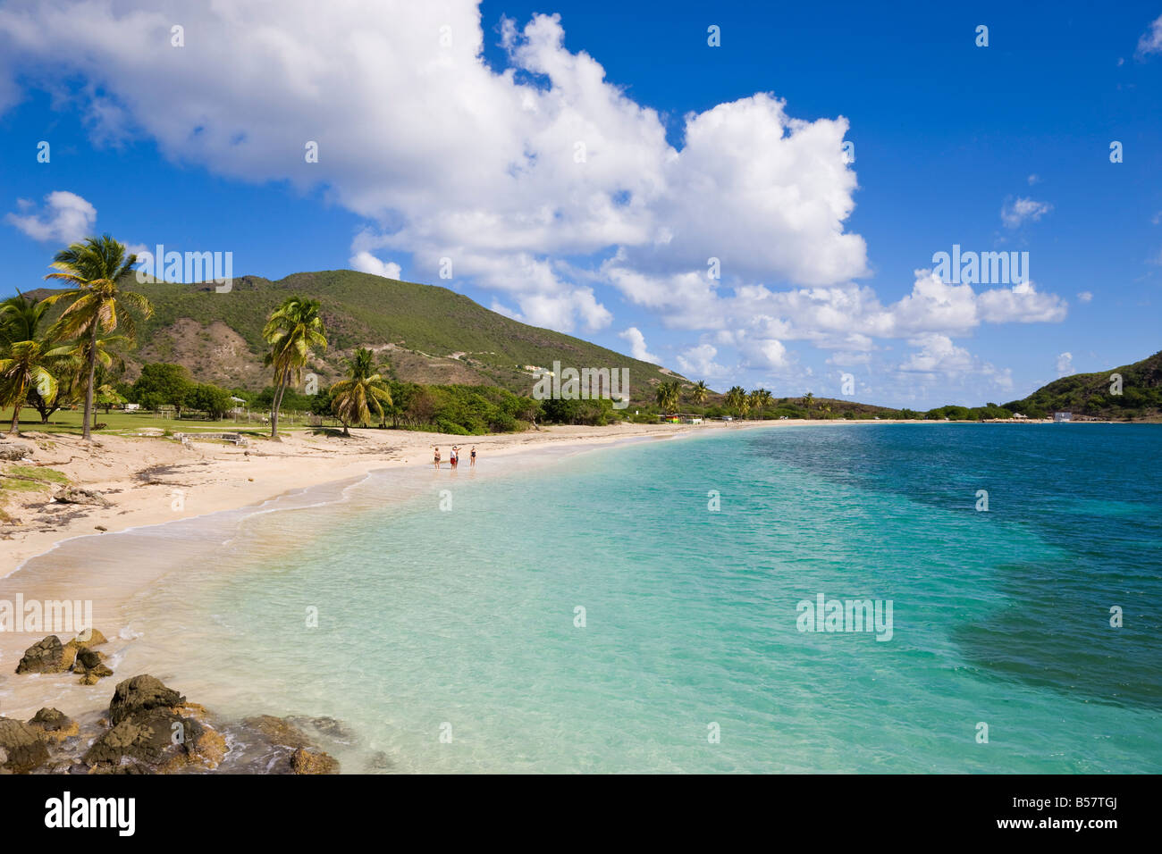 Turtle Beach, sulla penisola a sud-est, Saint Kitts, Isole Sottovento, West Indies, dei Caraibi e America centrale Foto Stock