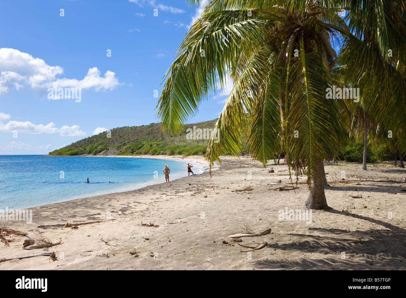 Turtle Beach sulla penisola a sud-est, Saint Kitts, Isole Sottovento, West Indies, dei Caraibi e America centrale Foto Stock