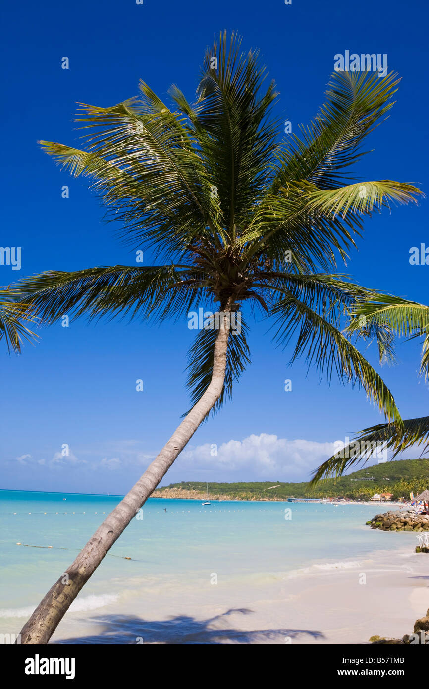 Dickenson Bay Beach, la più grande e famosa spiaggia dell'isola, Antigua, Isole Sottovento, West Indies, dei Caraibi Foto Stock