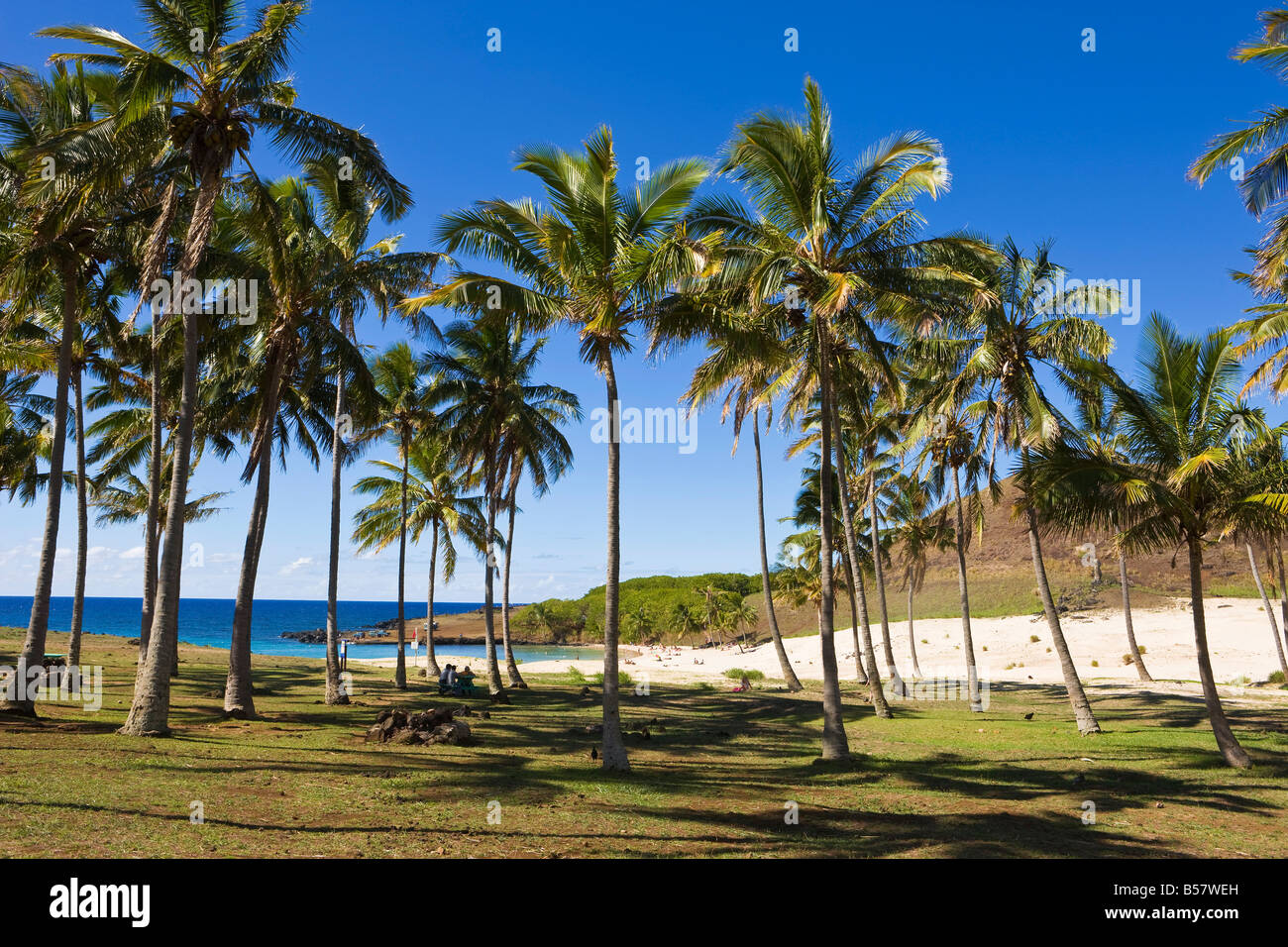 Spiaggia di Anakena, l'isola di spiagge di sabbia bianca orlate da palme, Rapa Nui (l'Isola di Pasqua), Cile, Sud America Foto Stock