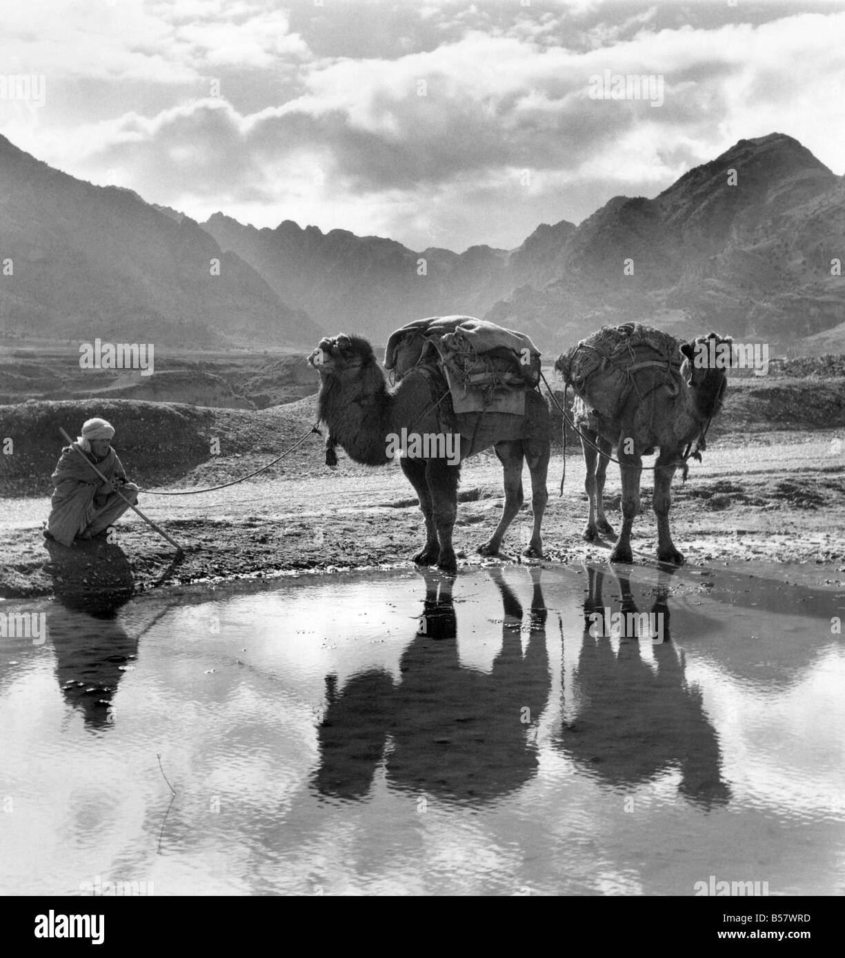 Royal Tour del Pakistan - Il Khyber Pass: un team di dromedario cammelli si arresta in corrispondenza di un foro di acqua nel Khyber Pass. Febbraio 1961 Foto Stock