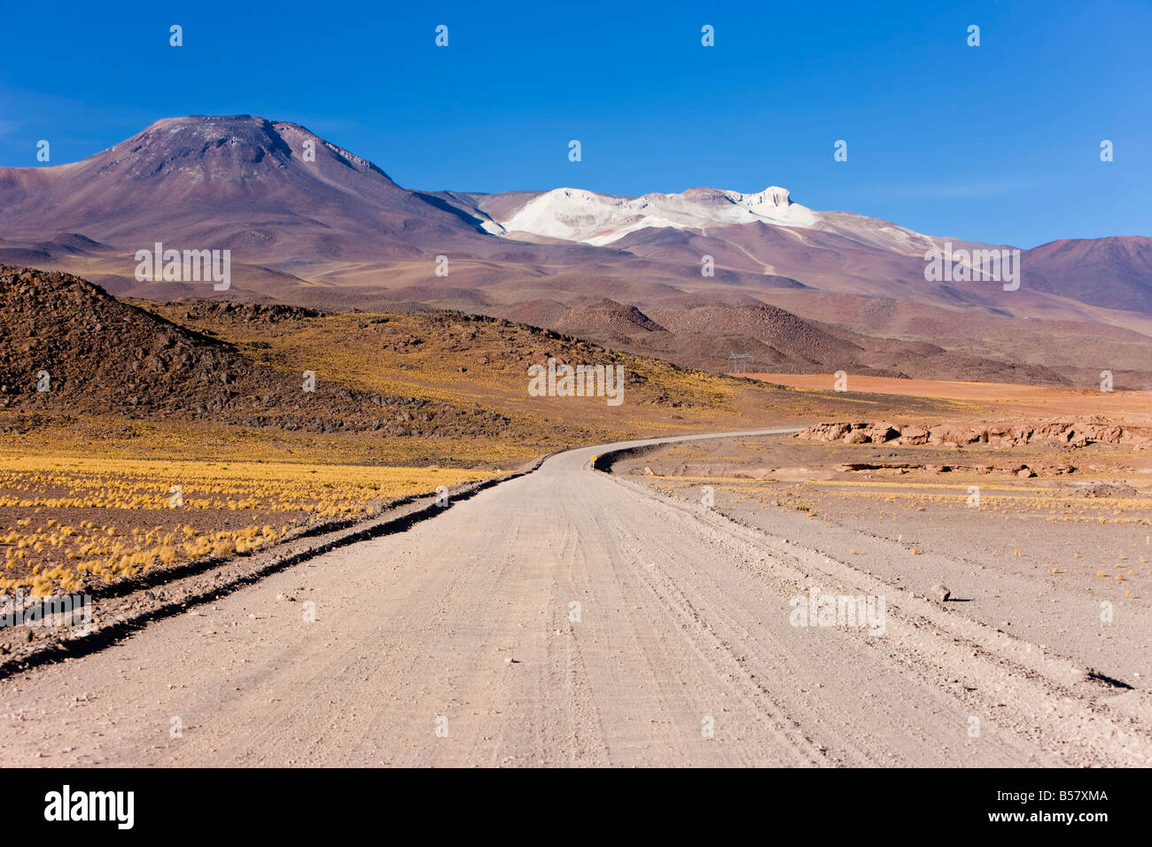 Laguna Miscanti, los Flamencos riserva nazionale, il Deserto di Atacama, Regione di Antofagasta, Cile Foto Stock