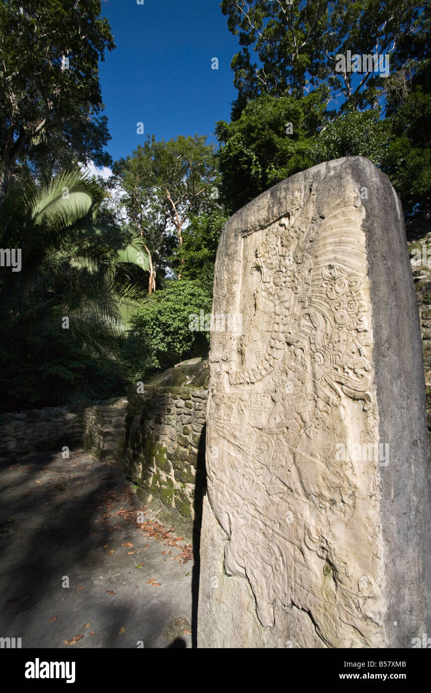 Stela 9 eretto in ANNUNCIO 625 per commemorare l'adesione del Signore fumatori nel guscio 608, Lamanai, Belize Foto Stock